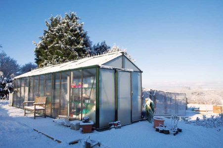 Make a Winter Vegetable Garden Work for the CSA Image